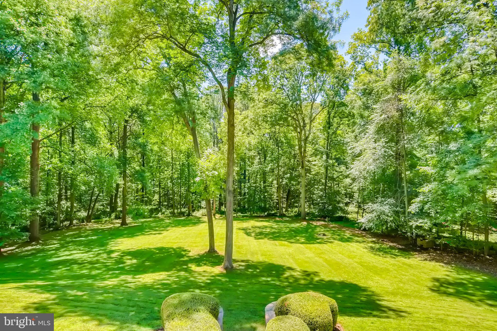 CAVES VALLEY - Residential