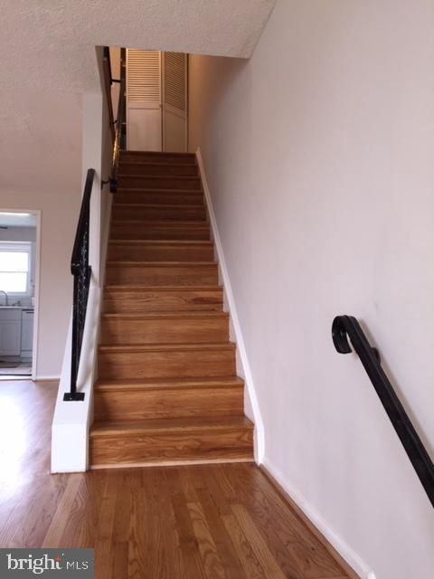 HALETHORPE - Residential Lease