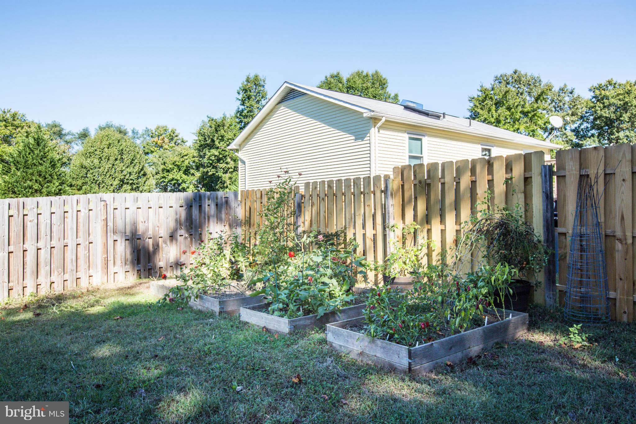 WINDSOR PLACE - Residential