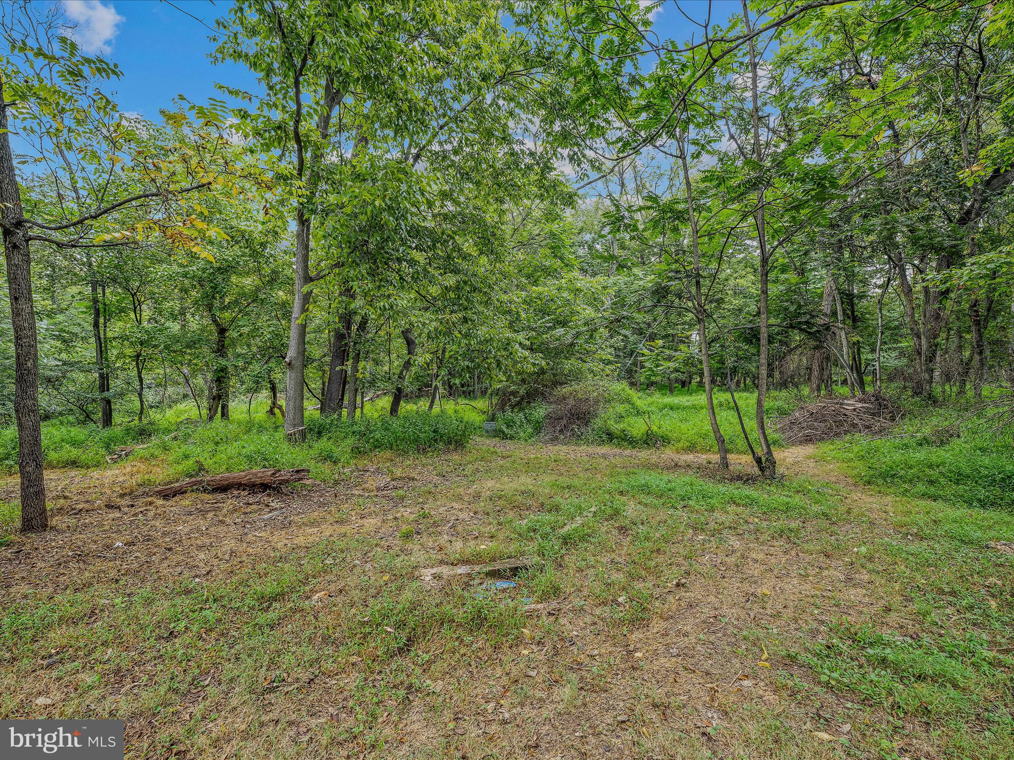 RATTLESNAKE RUN - Residential