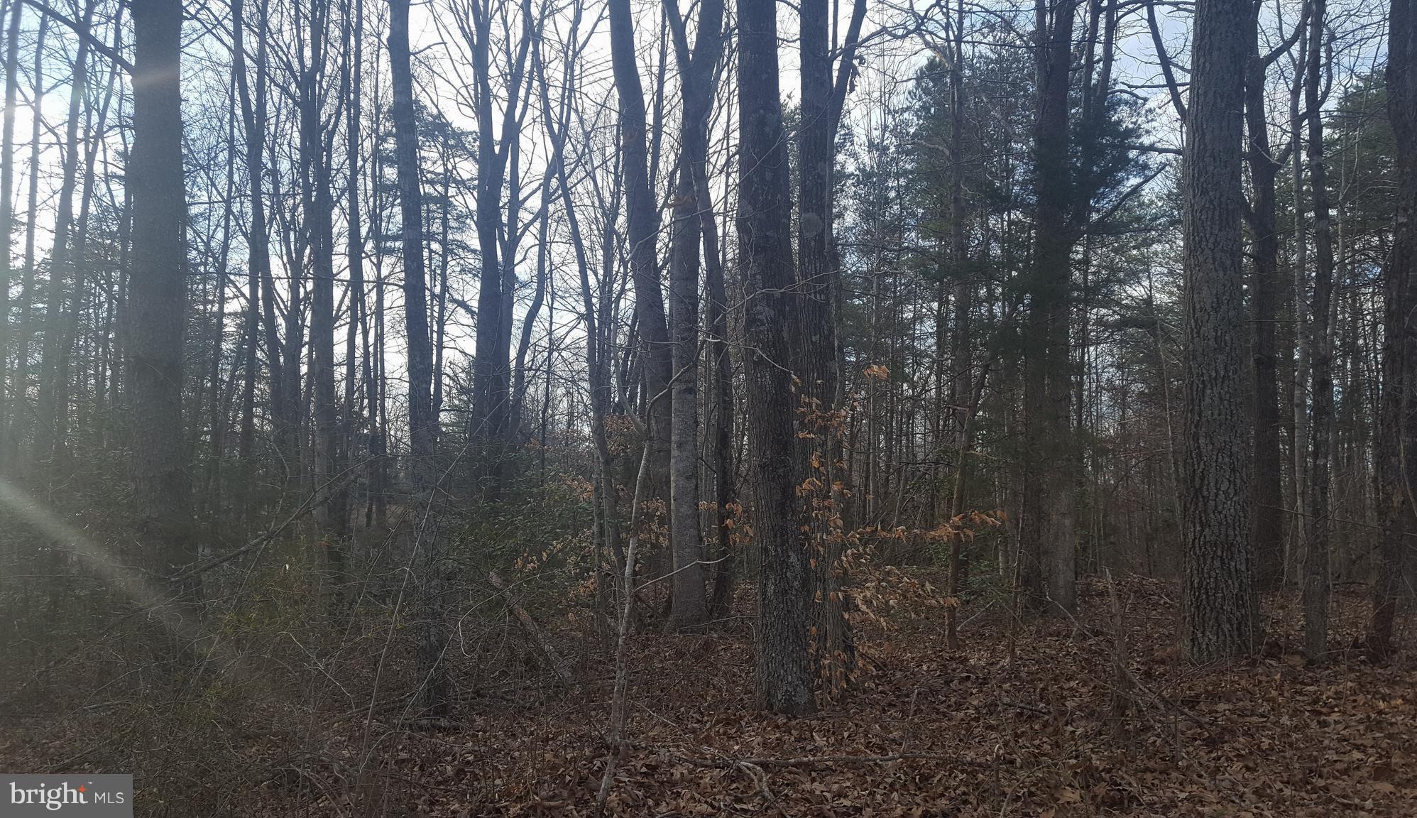 NONE AVAILABLE - Land