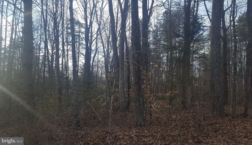 Over 33 Acres of land located a short distance from Jefferson Hwy/US 33.  The land is zoned A2.  The land offers privacy and is mostly wooded comprised of mixed timber.  Resent survey was completed and the Plat was recorded.   There is a small cemetery located at the front of the property.