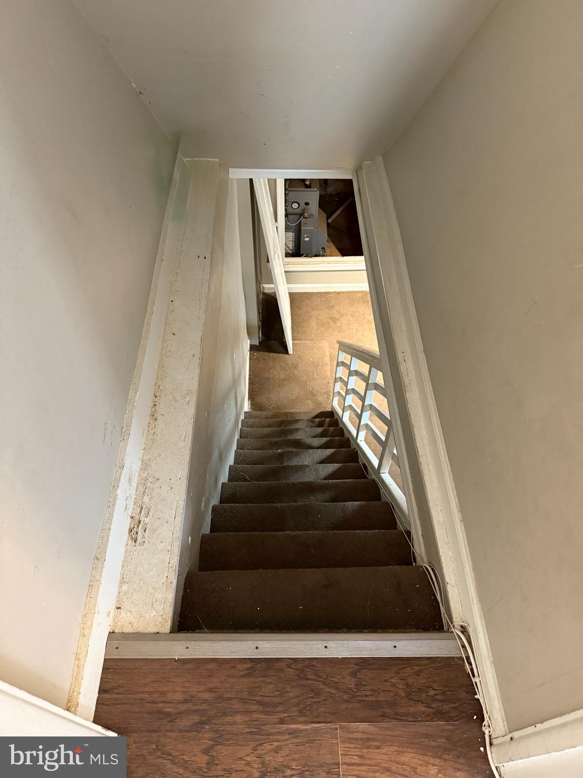OXFORD CIRCLE - Residential