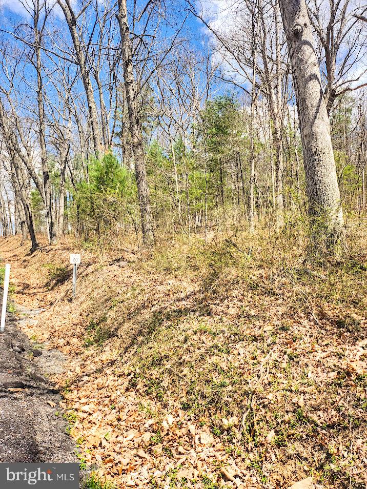 361 MECHANICS HOLLOW ROAD