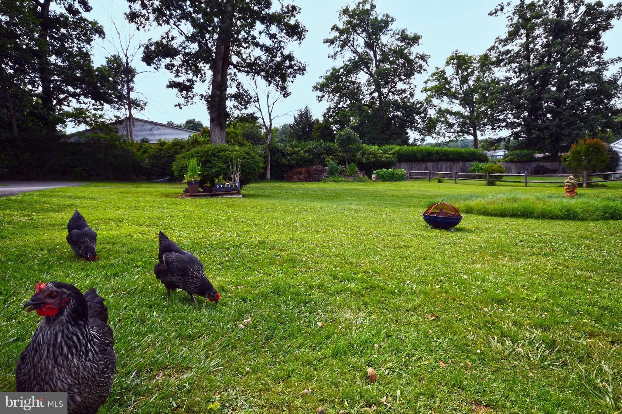 TIMONIUM - Residential