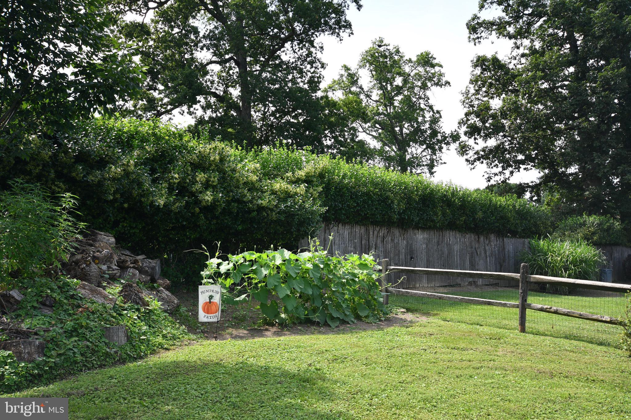 TIMONIUM - Residential