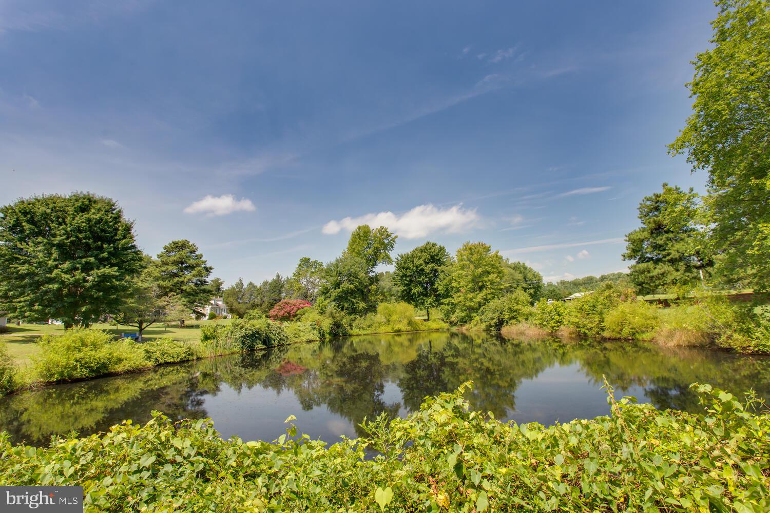 LAKE JAMESON - Residential