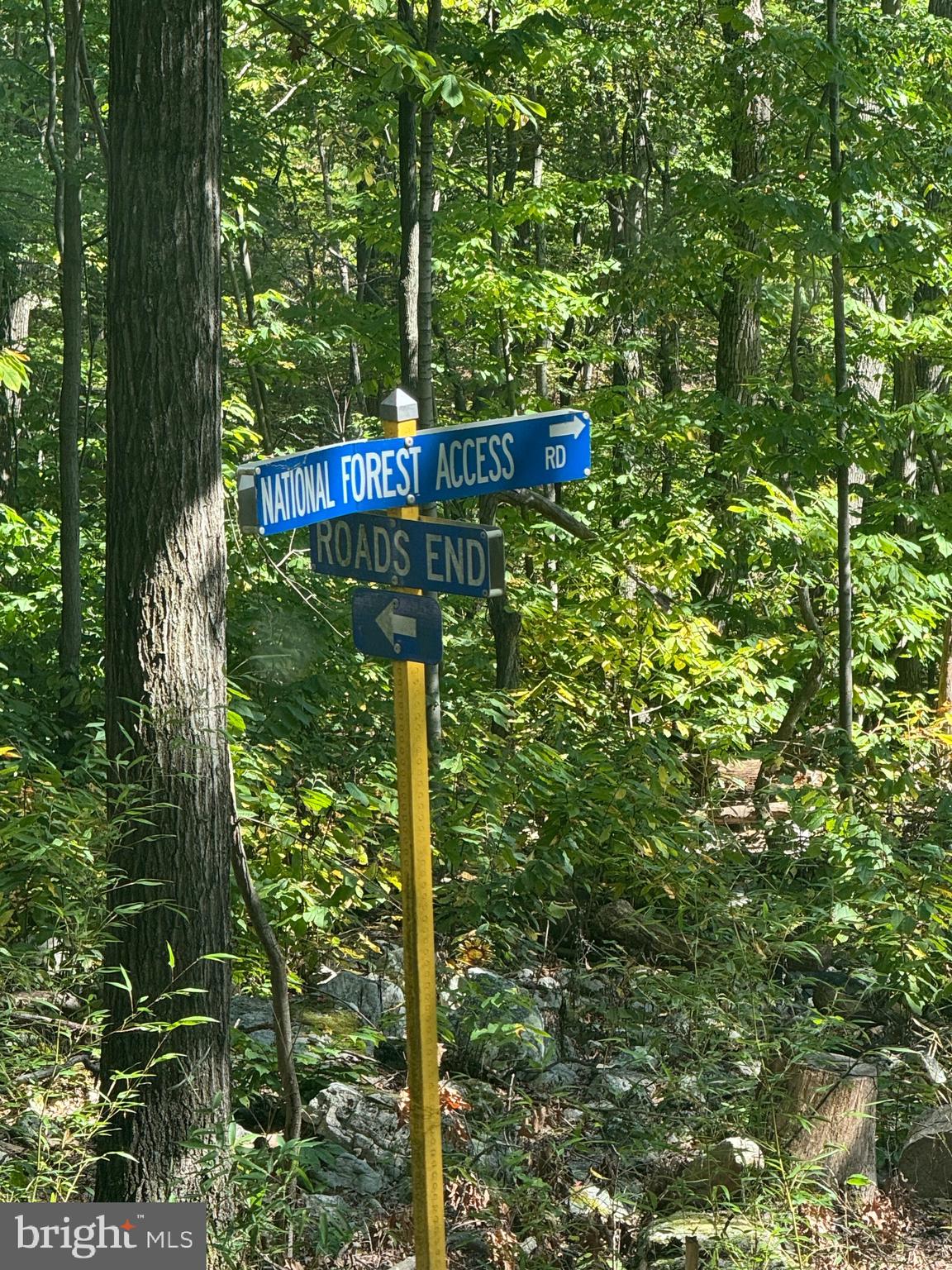 0 FOREST DRIVE EXT
