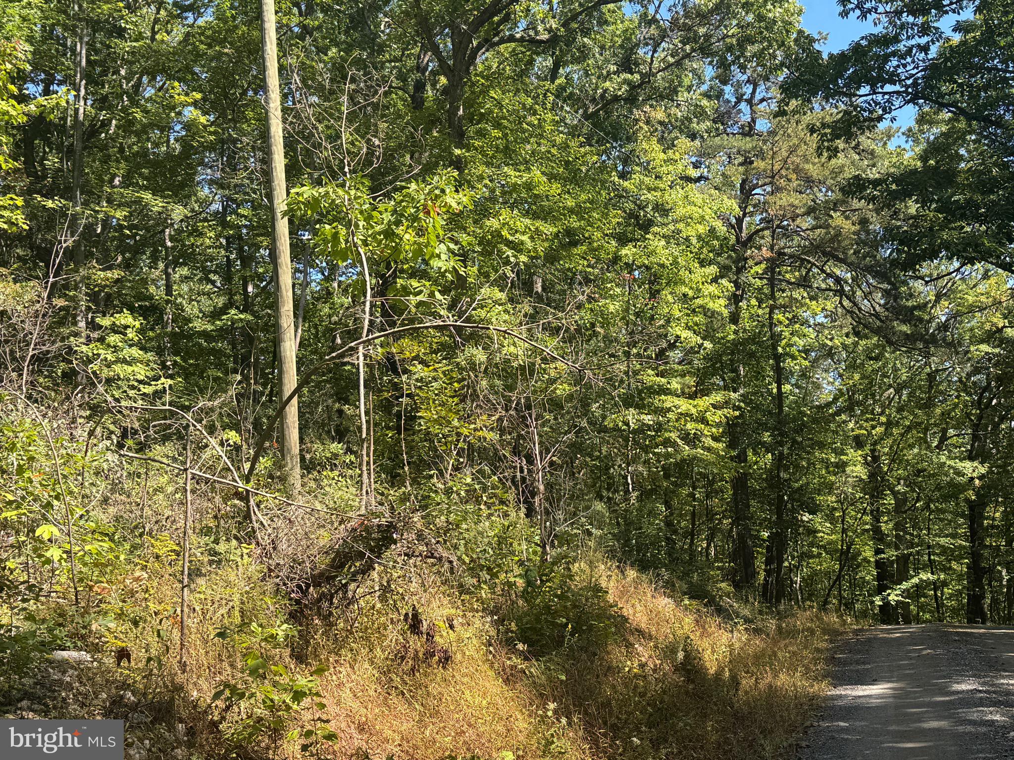 0 FOREST DRIVE EXT
