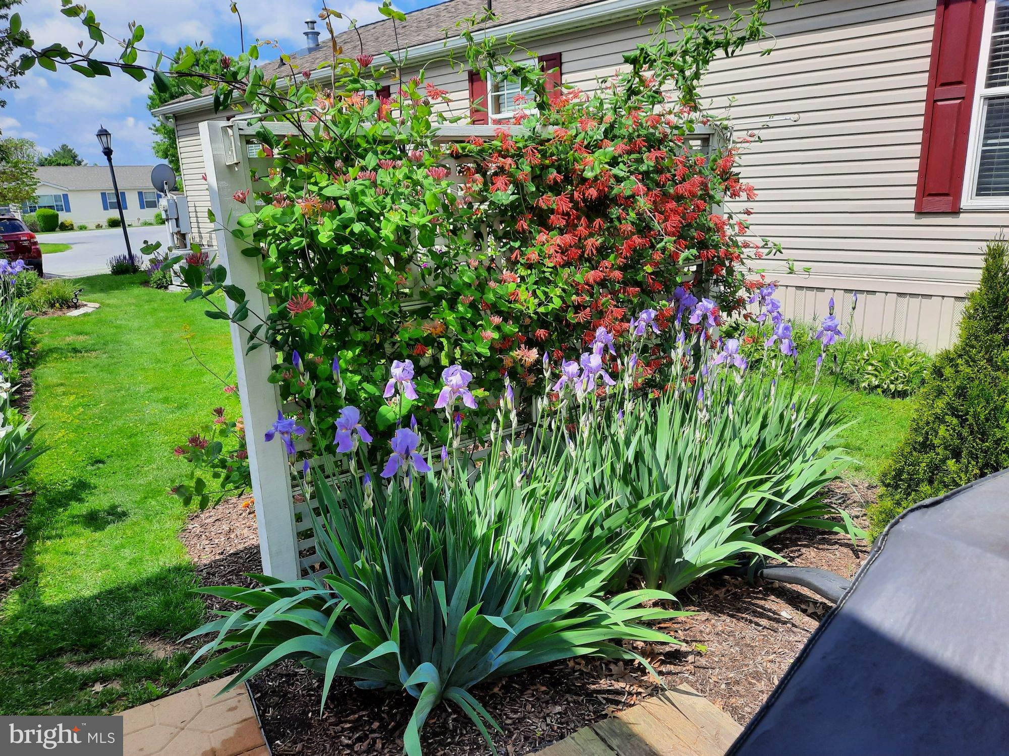 VILLAGES AT GREENFIELD - Residential