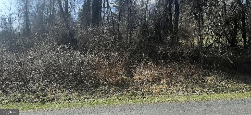 Attractive building lot on residential street in Carroll Valley; close to Liberty Resort, golf, parks, walking trails, and a short drive to US 15 or Gettysburg.