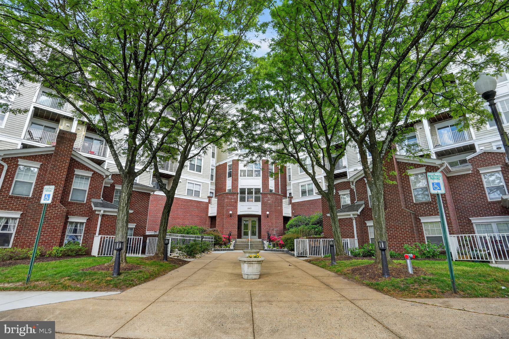 1645 INTERNATIONAL DRIVE 312