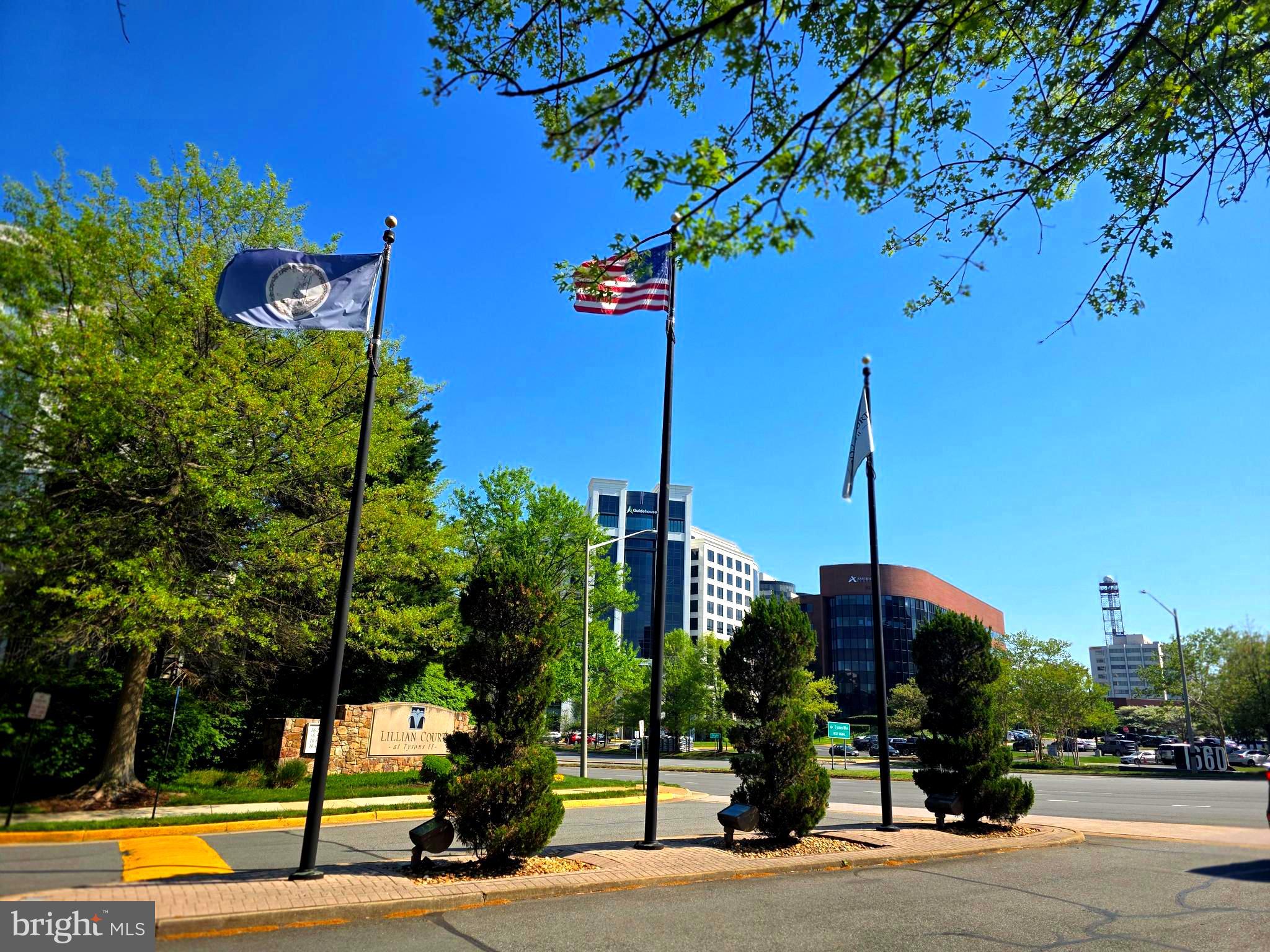 1645 INTERNATIONAL DRIVE 312