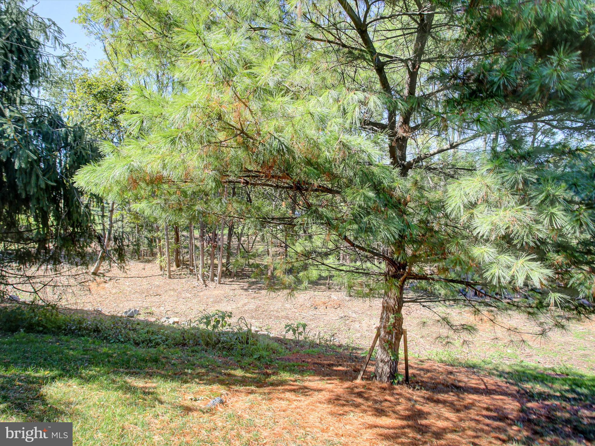 MOSS SPRING ESTATES - Residential