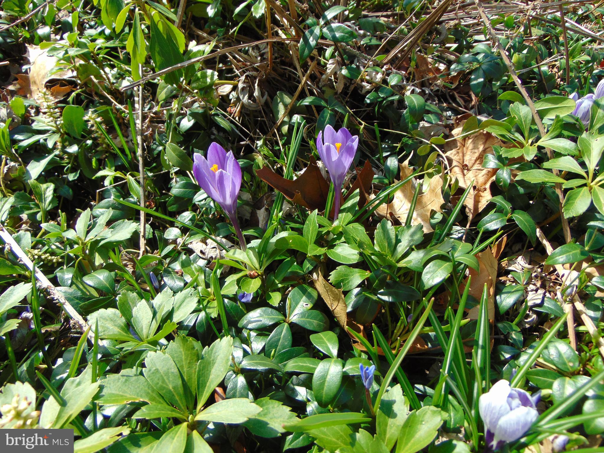 POTTSTOWN LANDING - Residential