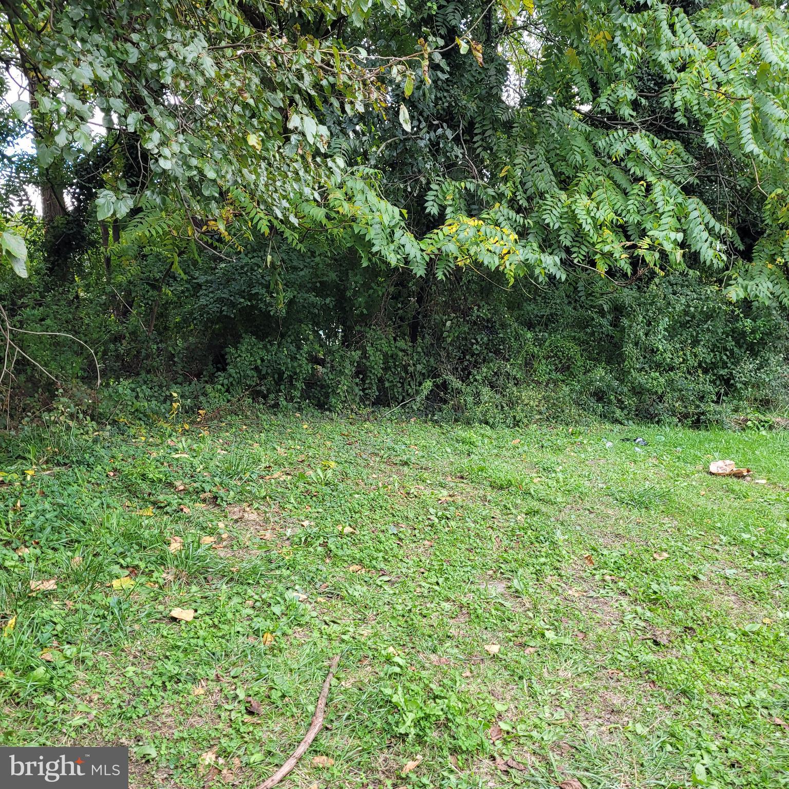 PARKLANE - Residential