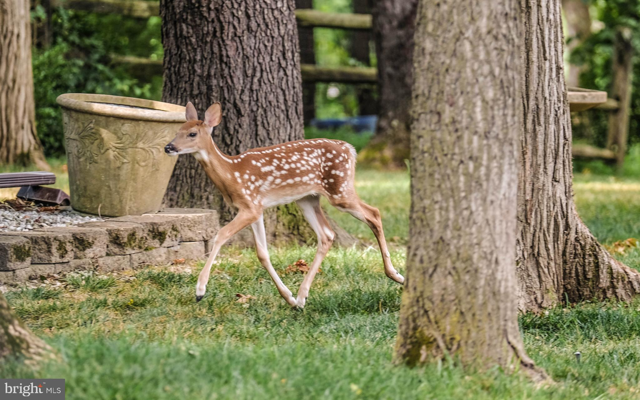 BLUE RIDGE ACRES - Residential