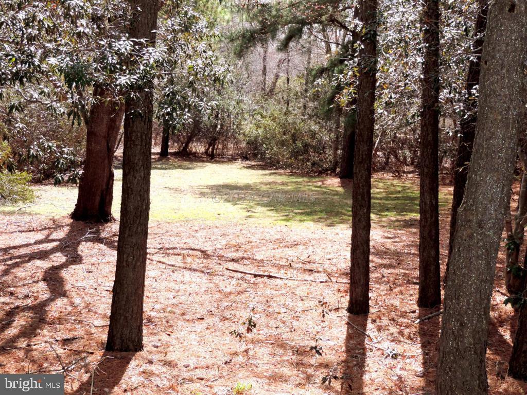 OCEAN PINES - THE POINT - Residential