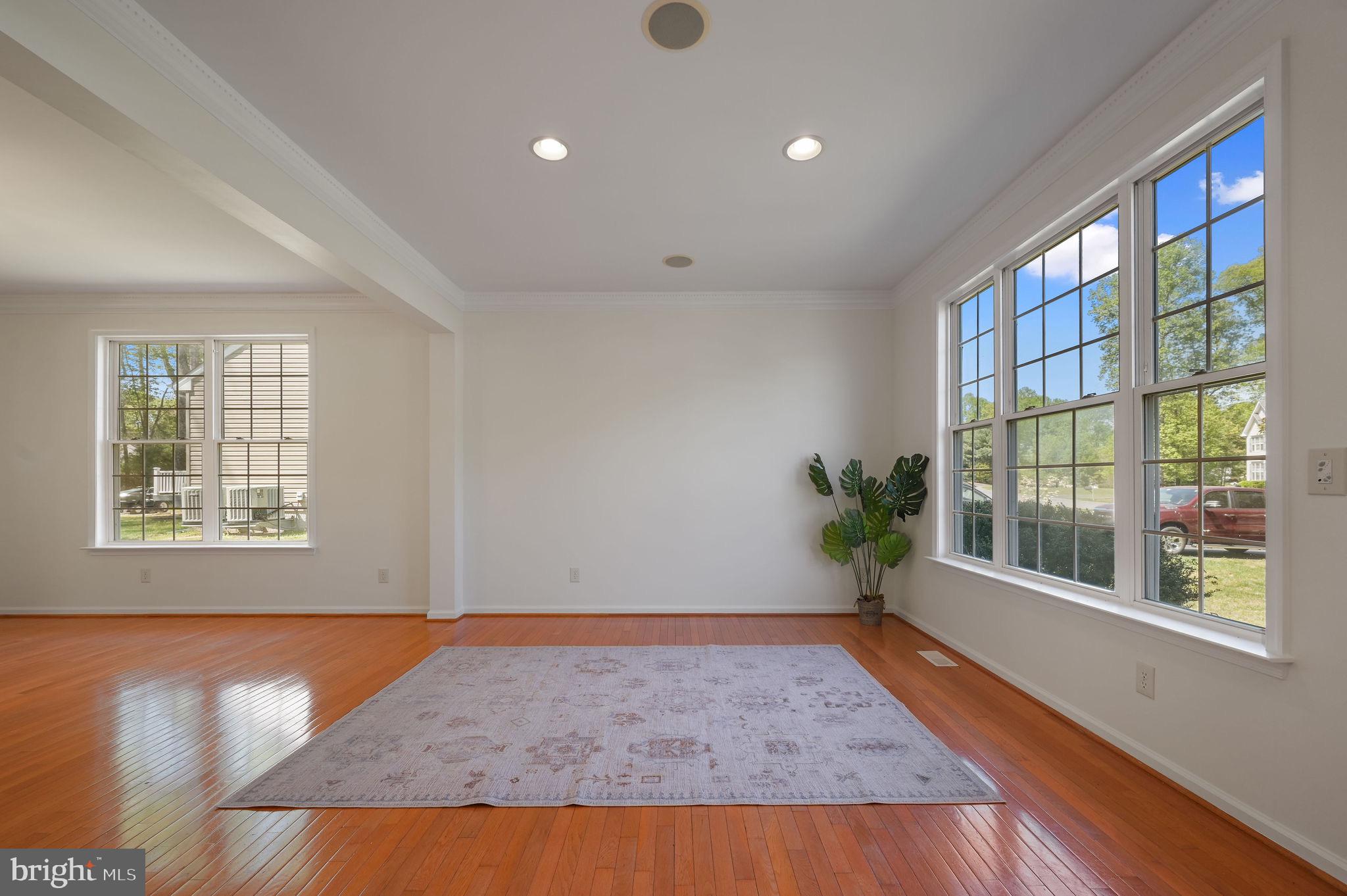 438 LORRAINE DRIVE