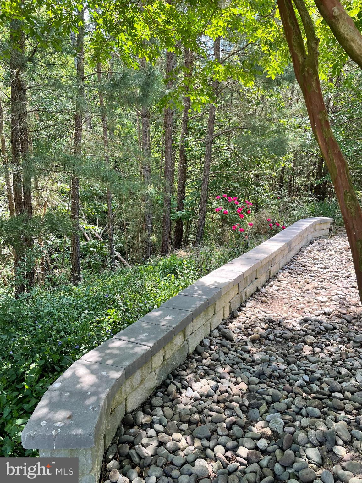 DAHLIA PARK OF WILDEWOOD - Residential