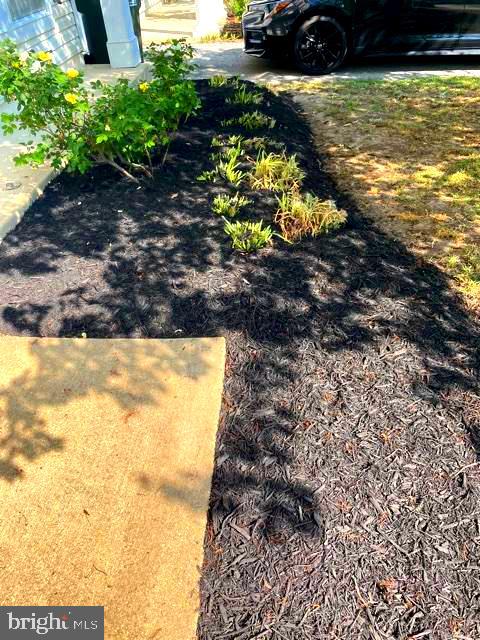 DAHLIA PARK OF WILDEWOOD - Residential