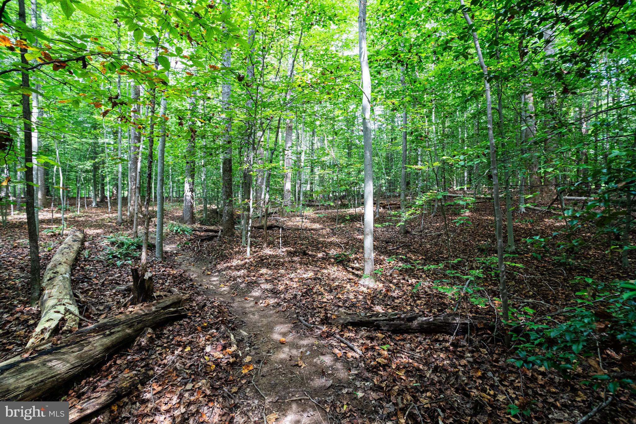 WALNUT ACRES - Residential