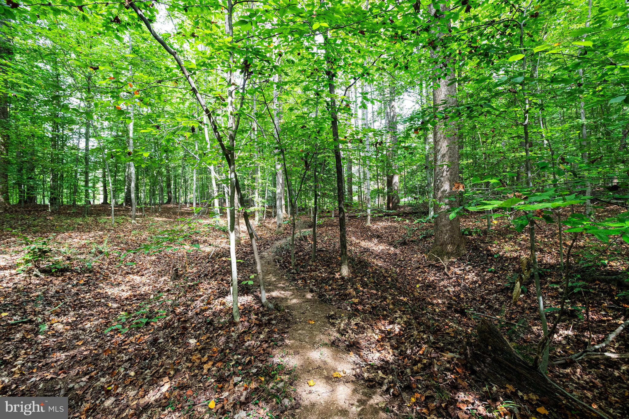 WALNUT ACRES - Residential