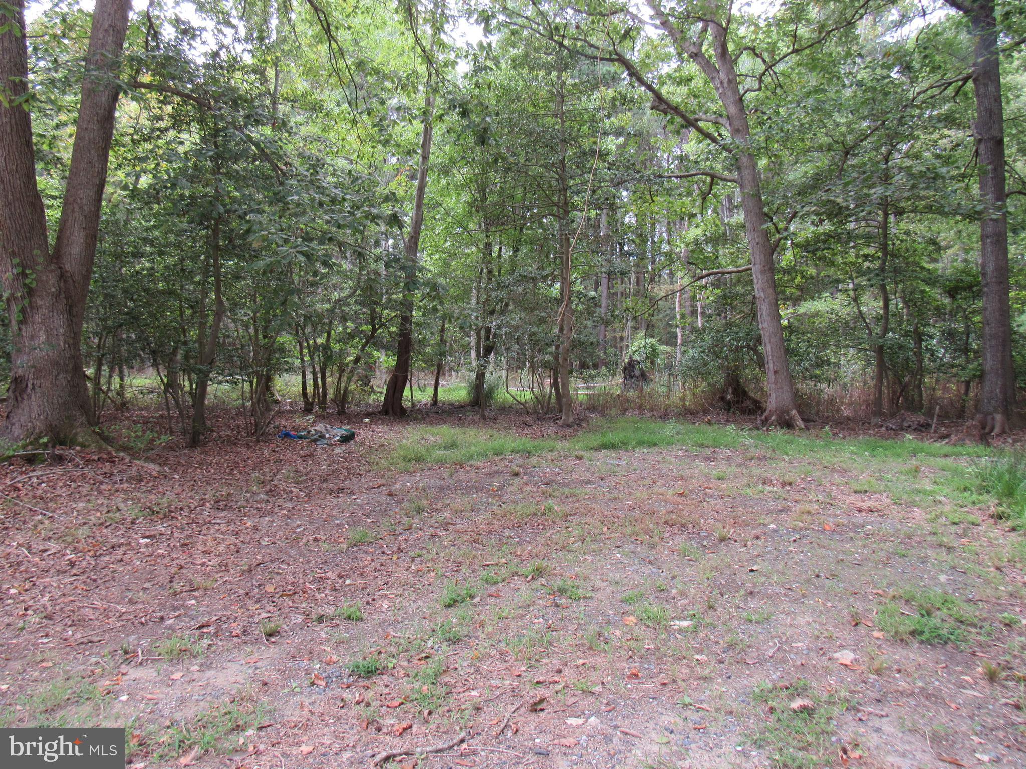 4420 HOOPERS NECK ROAD