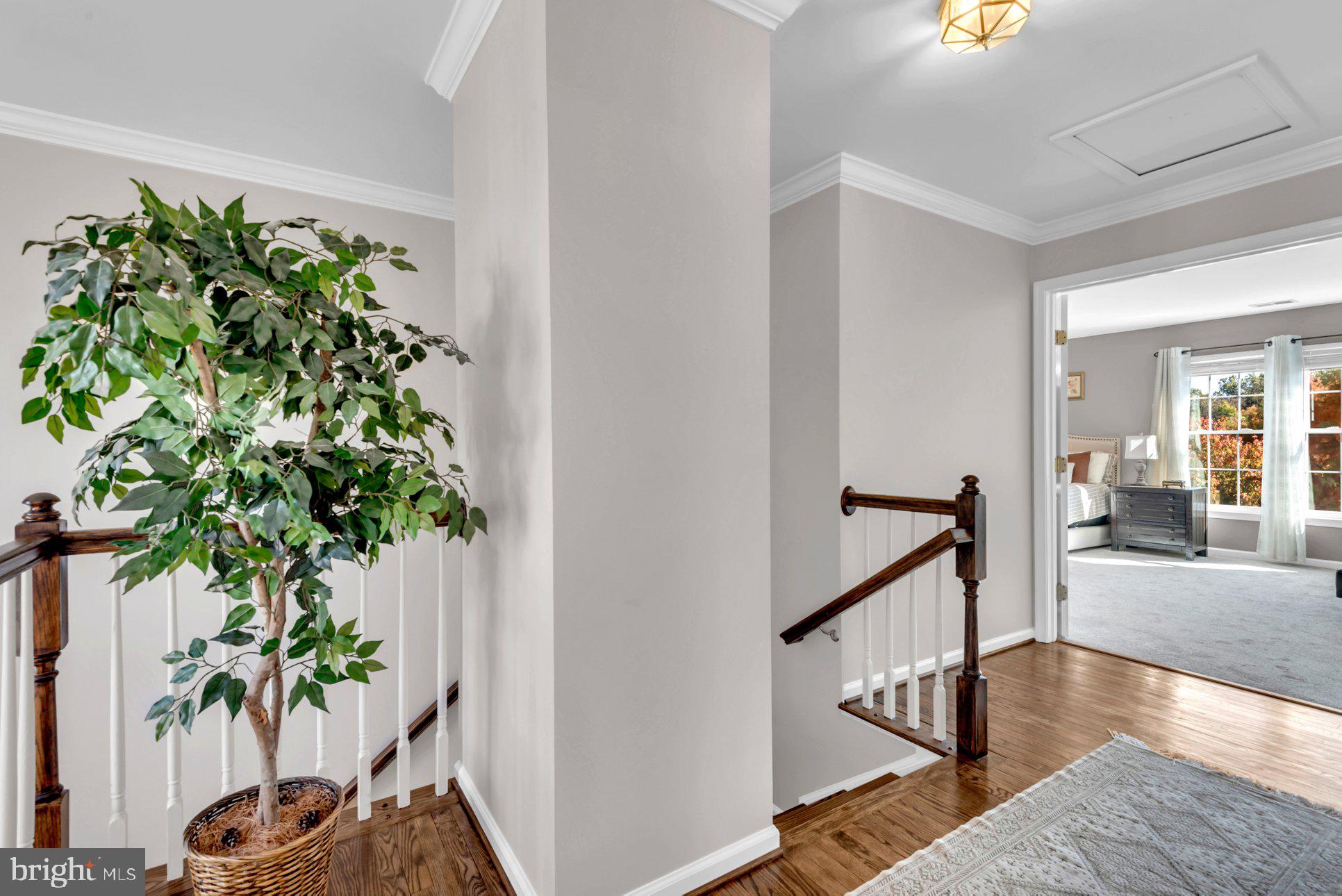 QUINCE ORCHARD PARK - Residential