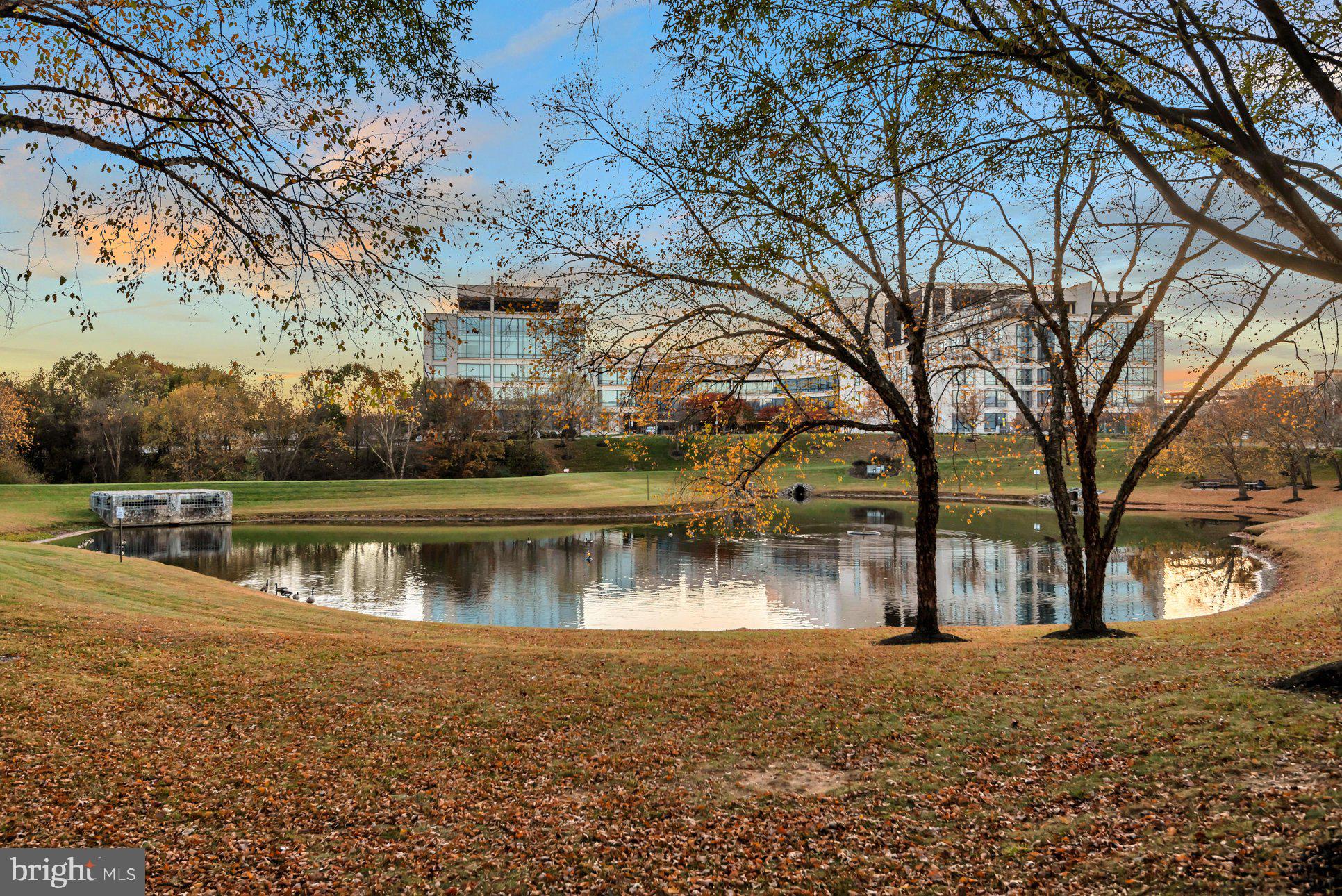 QUINCE ORCHARD PARK - Residential