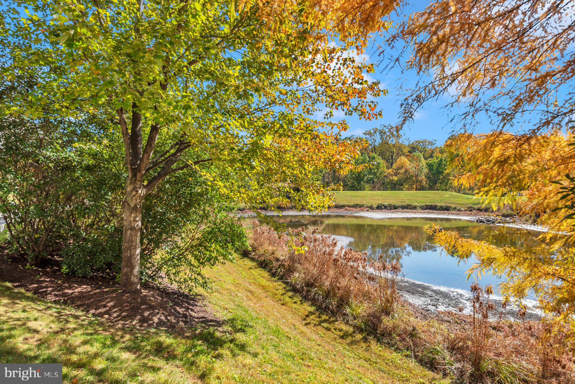 QUINCE ORCHARD PARK - Residential