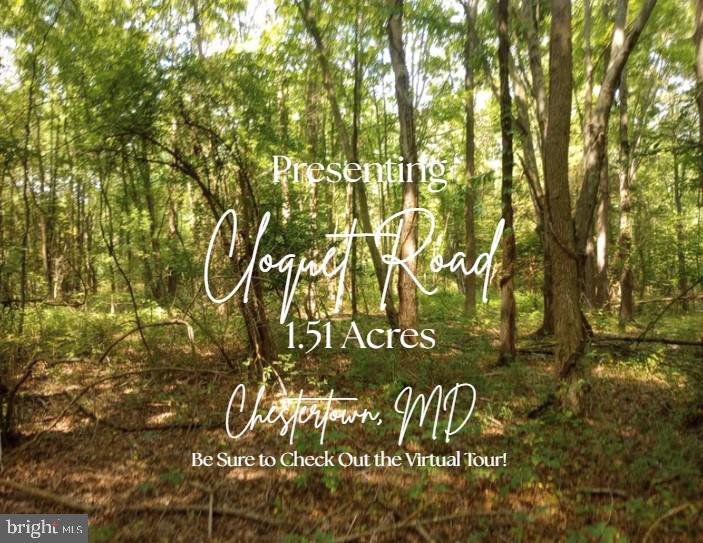 Largest privately held parcel in Chesapeake Landing. 8 Lots each more than 10,000 sq ft. for a total 1.51 acres. Tax map 27, lots 254-257 & 297-300 (2 contiguous lots). The site is level & wooded. Raw land near Worton's Marina. Community has a boat ramp and offers easy access to the Chesapeake Bay. Chesapeake Landing has a voluntary HOA giving you access to the boat ramp, marina and a slip for an extra fee.