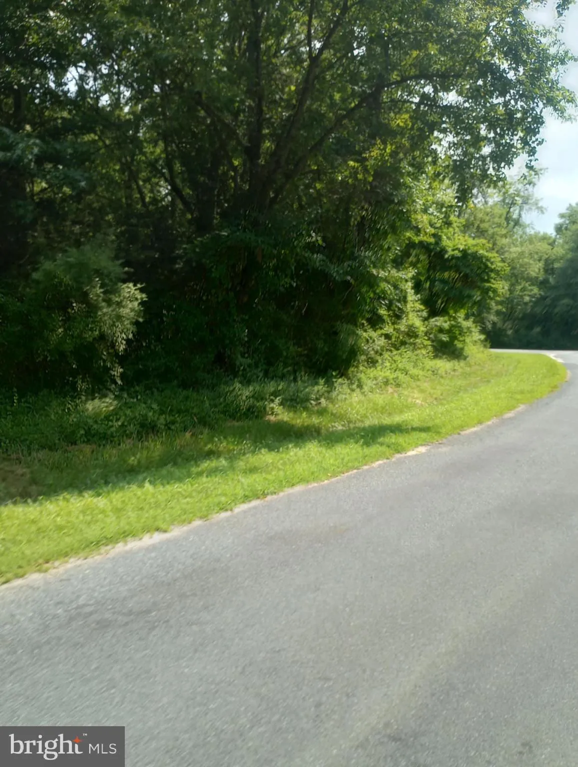 Chestertown, Maryland 21620, United States, ,Land,Active,93991