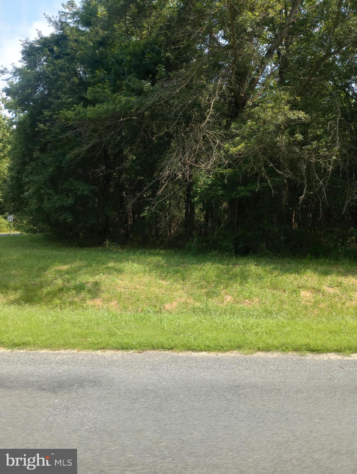 CHESAPEAKE LANDING - Land