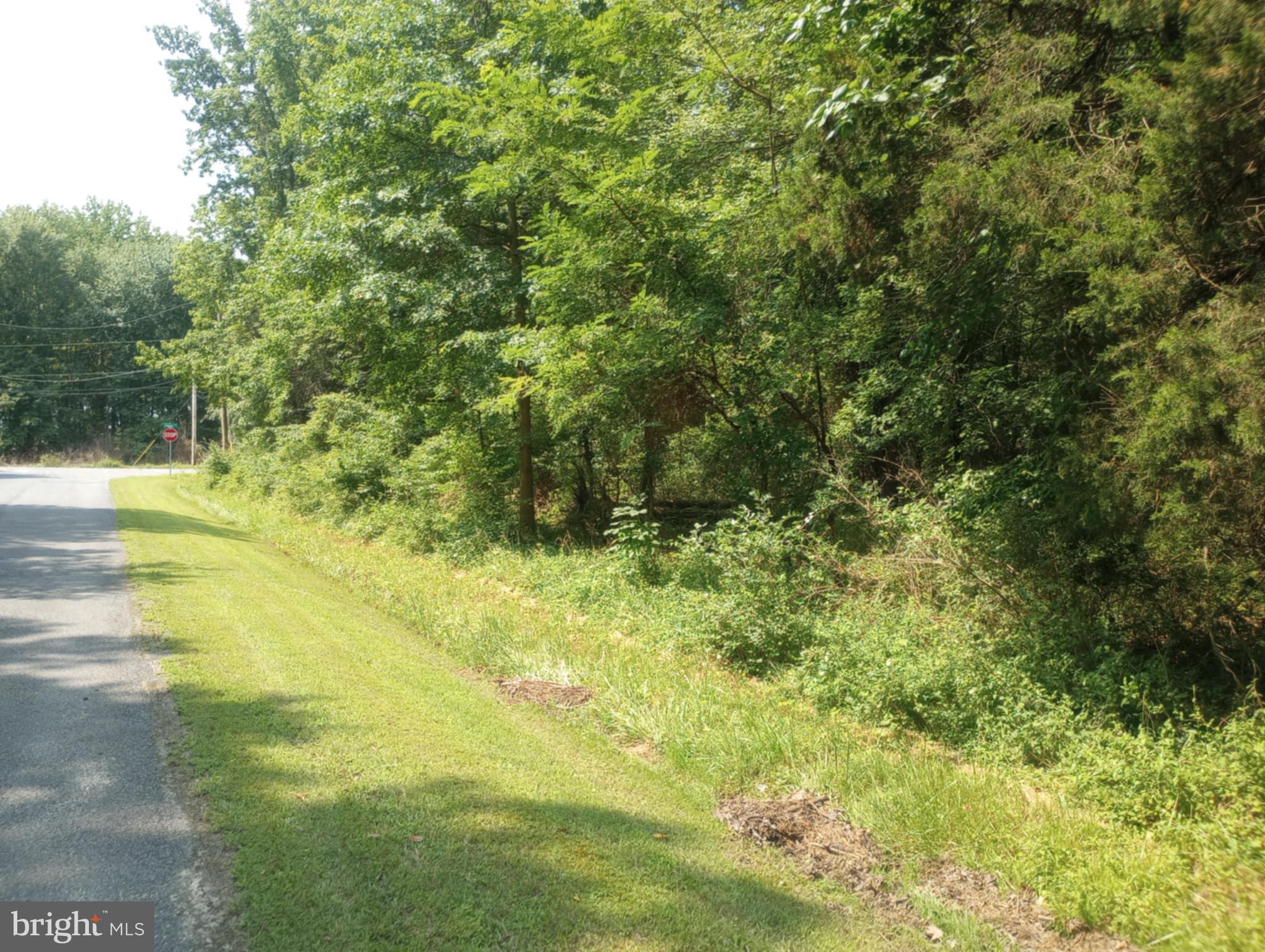 CHESAPEAKE LANDING - Land