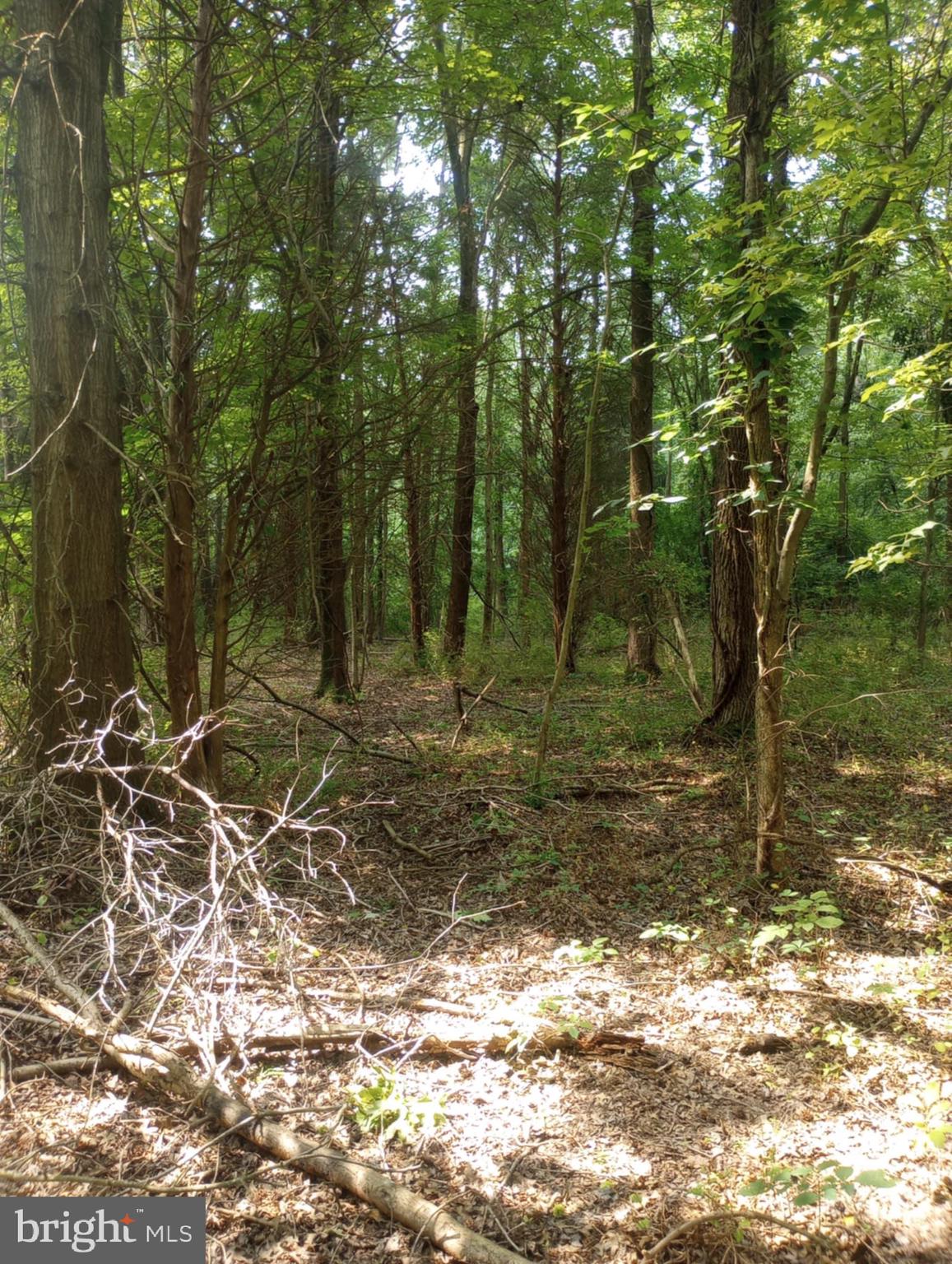 CHESAPEAKE LANDING - Land