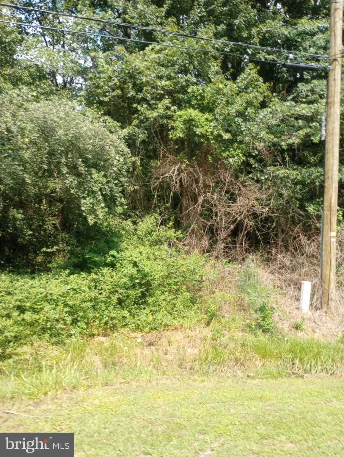 Chestertown, Maryland 21620, United States, ,Land,Active,93991