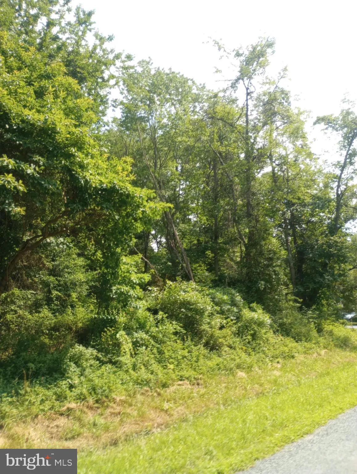 Chestertown, Maryland 21620, United States, ,Land,Active,93991