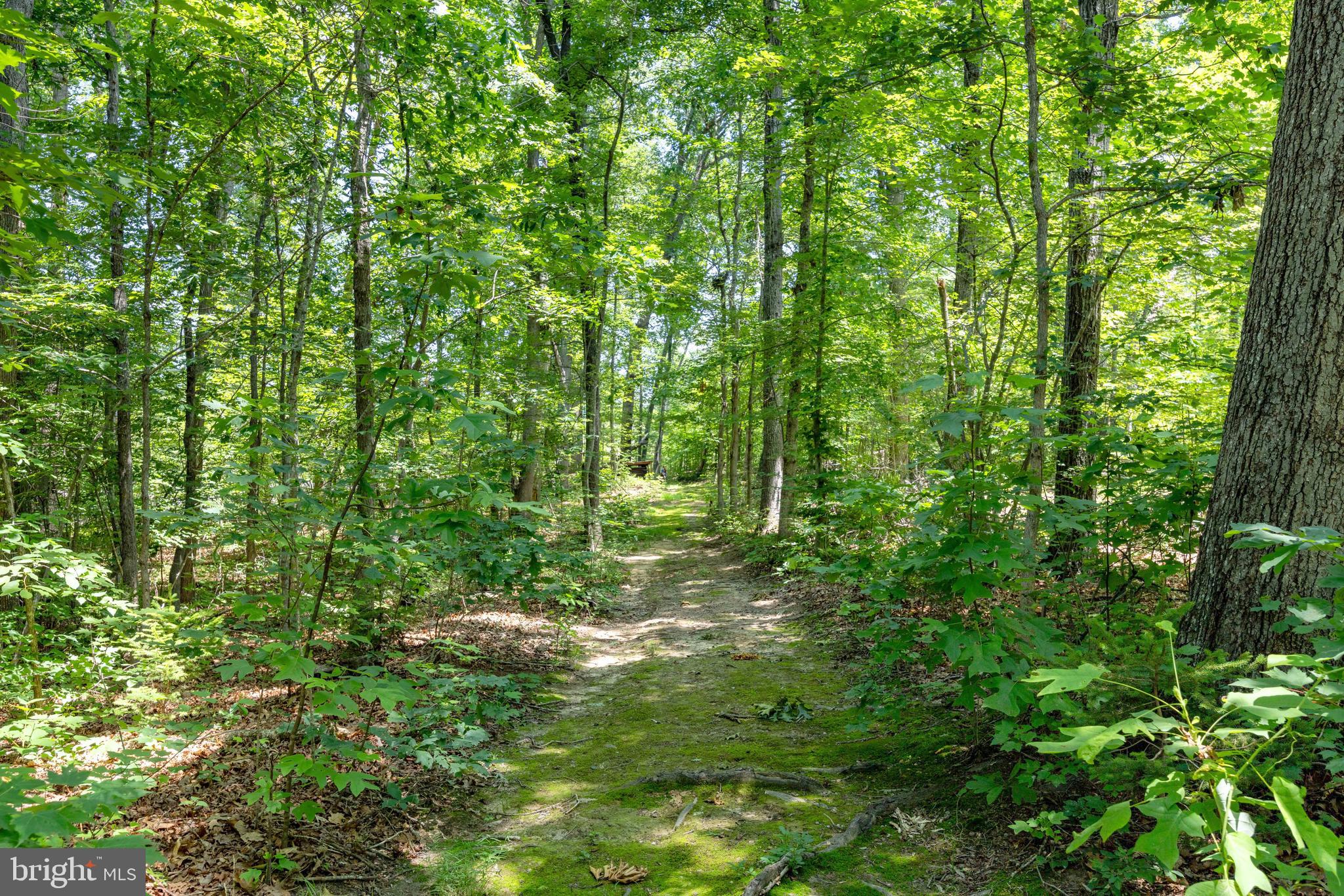 MALVERN OF MADISON - Residential