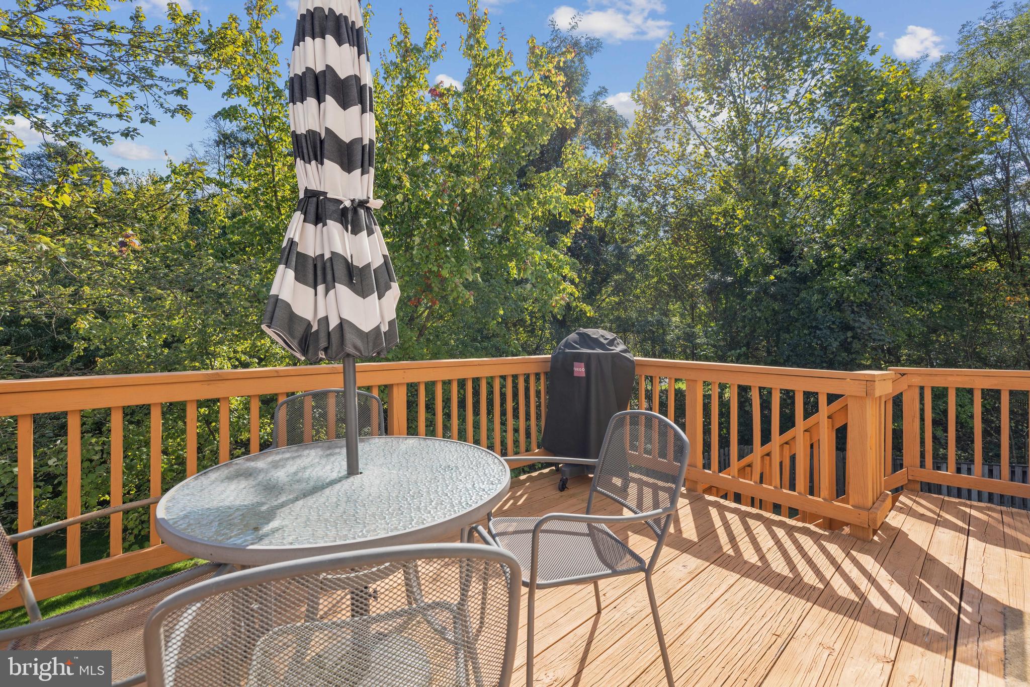 MINERAL SPRING VILLAGE - Residential