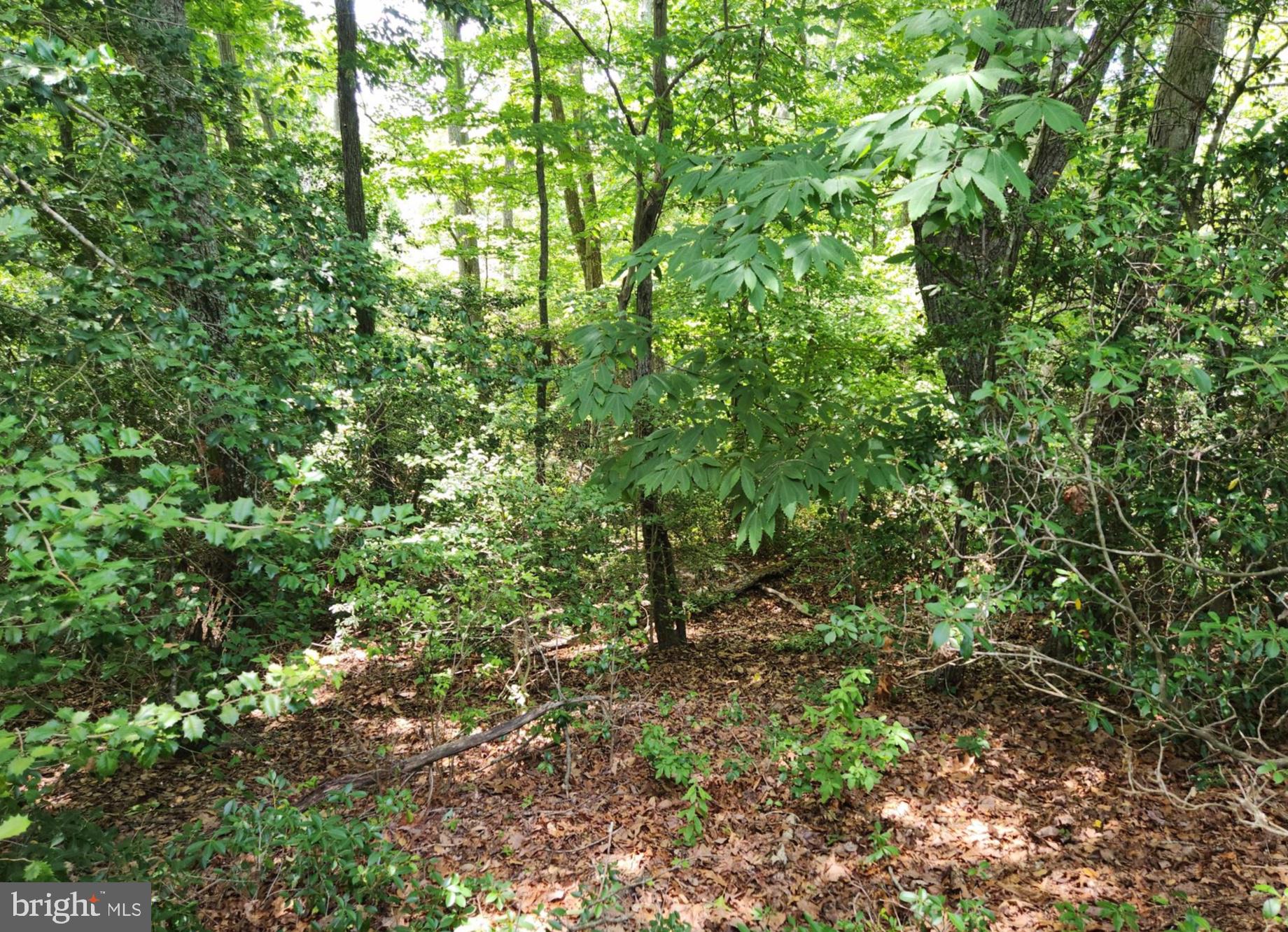 409 STALLION LANE
