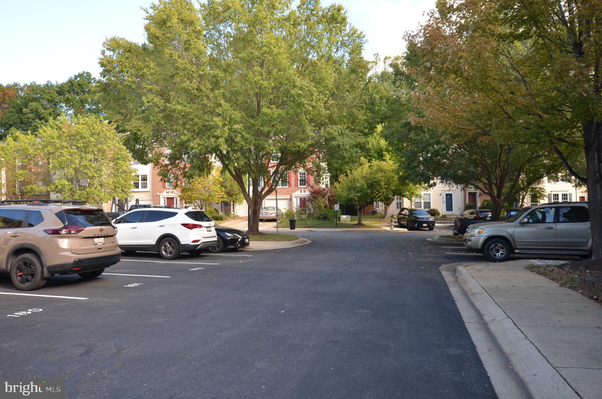 4 PALMETTO COURT
