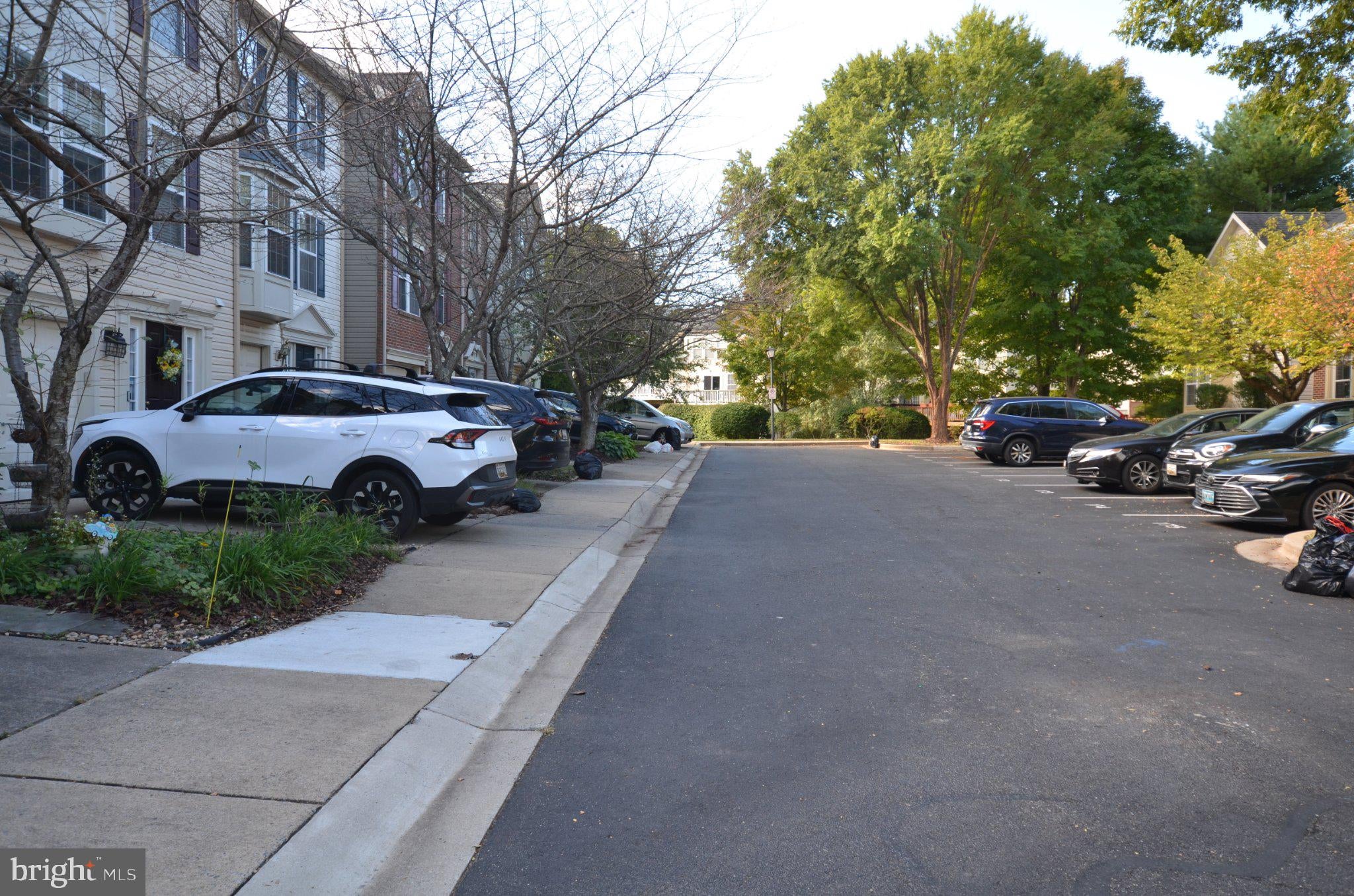 4 PALMETTO COURT