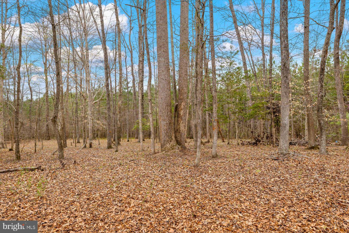 COUNTRY ACRES - Residential