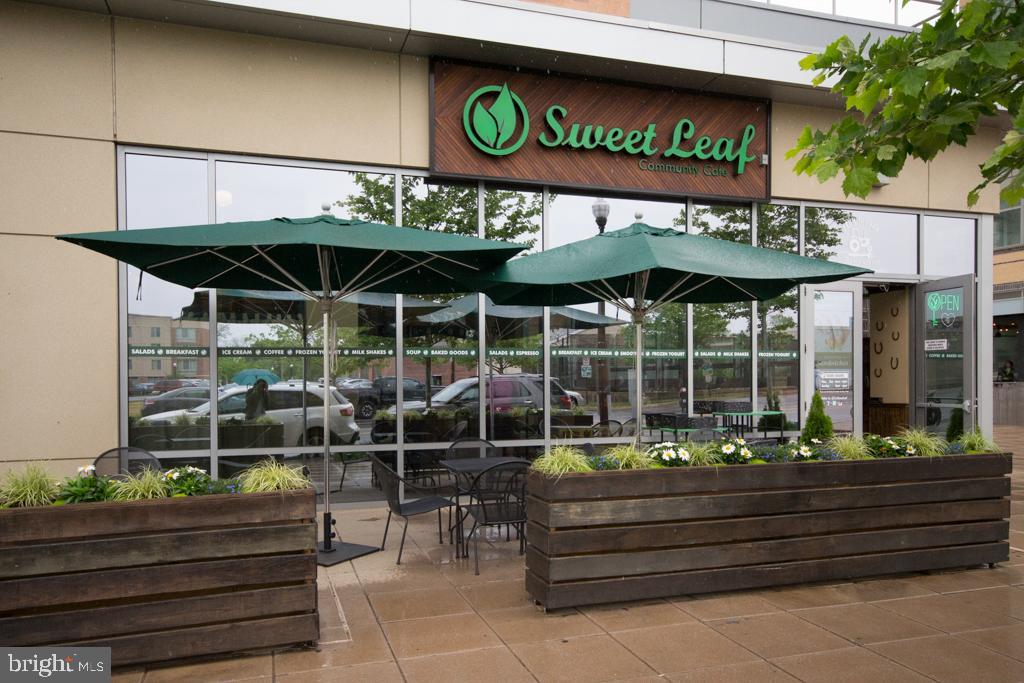 BALLSTON 880 - Residential