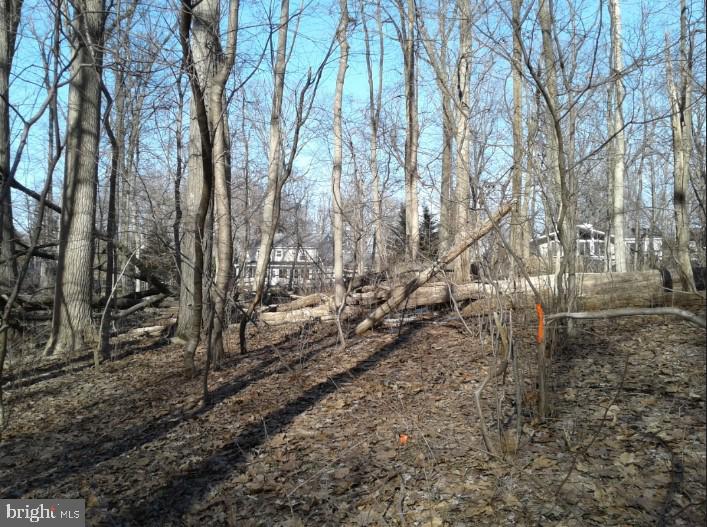 813 W KING ROAD
