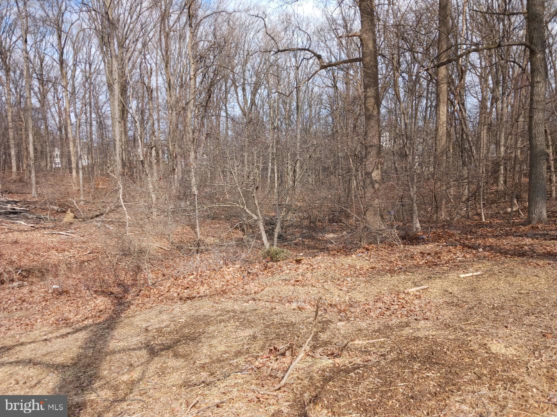 813 W KING ROAD