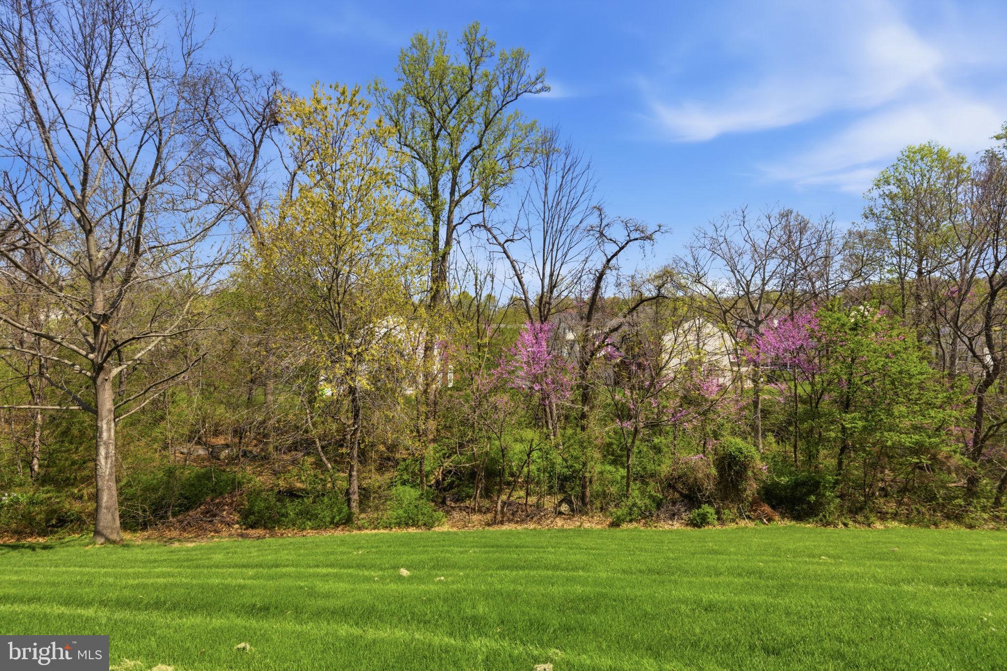 COTON COMMONS - Residential