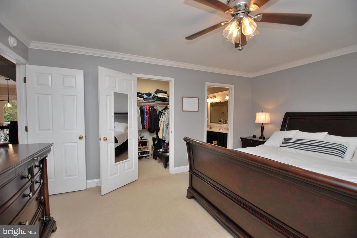 AMISSVILLE - Residential