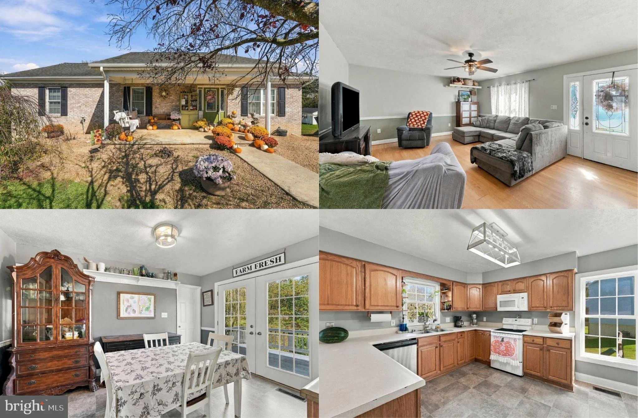 158 T Bird Lane